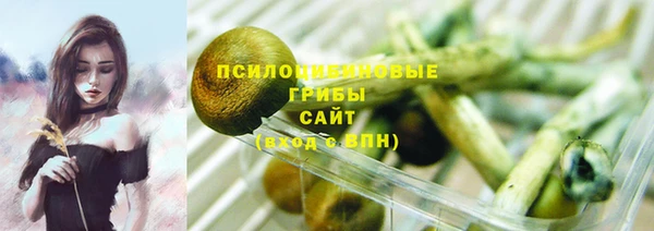 ПСИЛОЦИБИНОВЫЕ ГРИБЫ Ельня