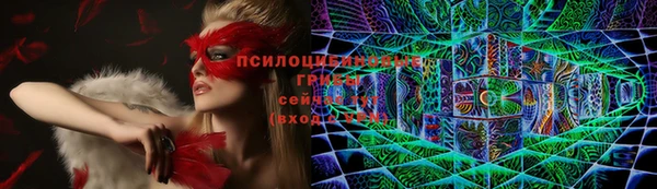 спиды Елизово