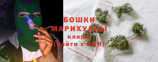 ПСИЛОЦИБИНОВЫЕ ГРИБЫ Ельня